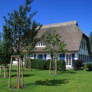EFH Morgenitz