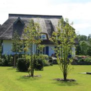 EFH Morgenitz
